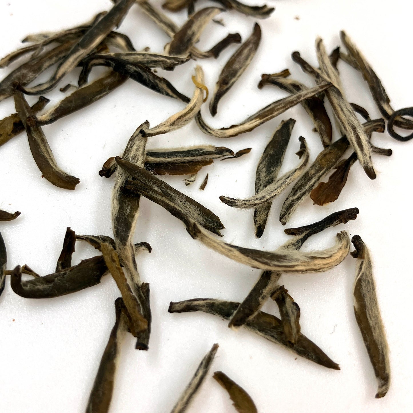 30 day Jasmine - Fujian