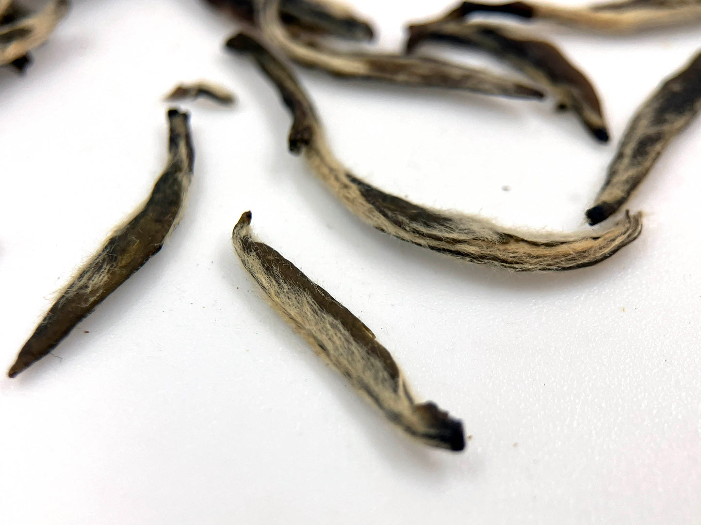 30 day Jasmine - Fujian