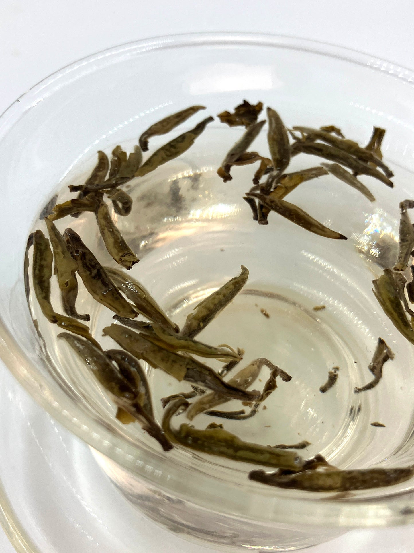 30 day Jasmine - Fujian
