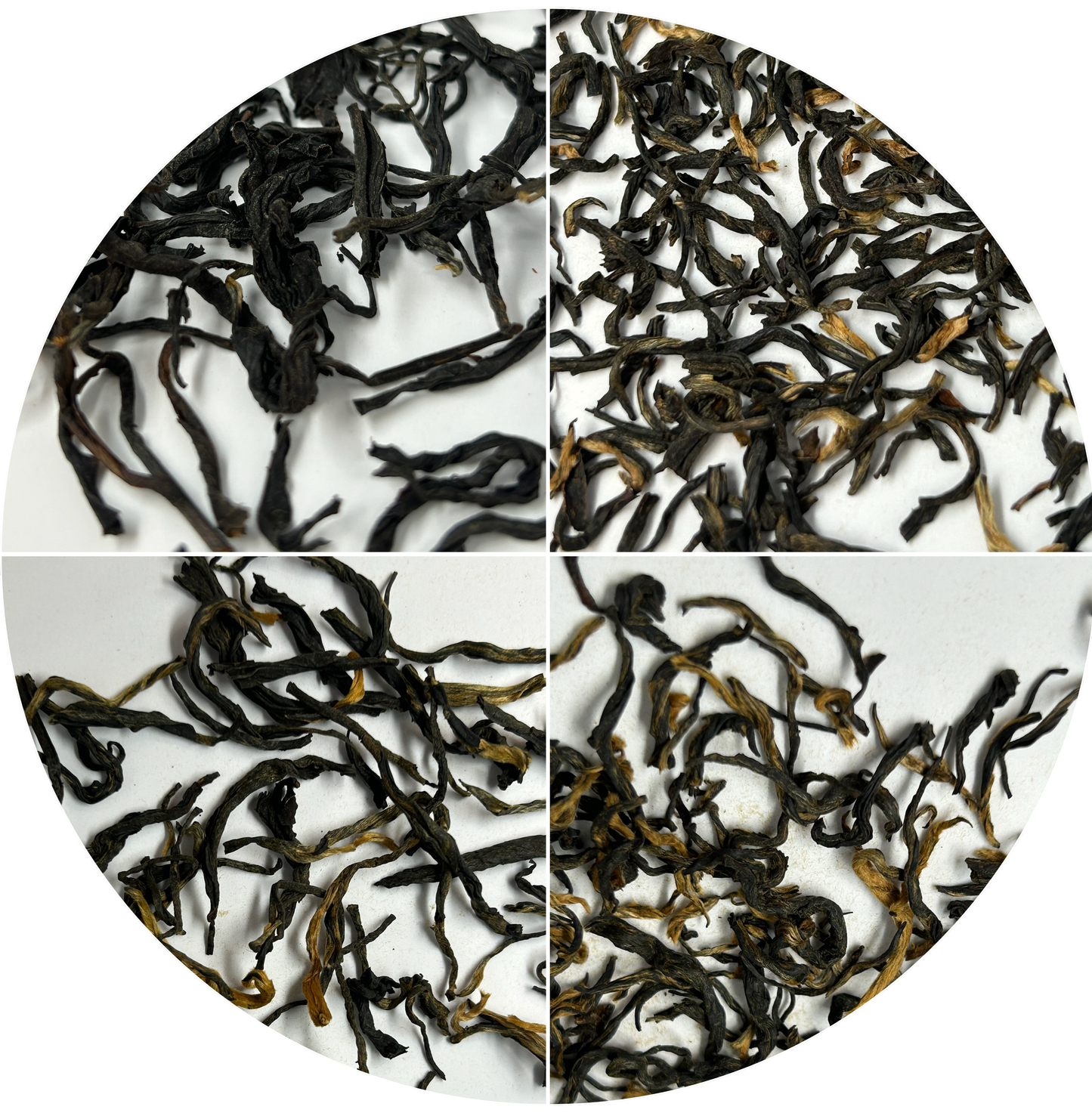 Black Tea Tasting Sampler Kit