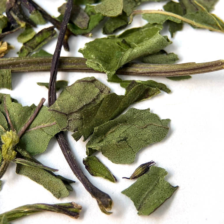 Chickadee Peppermint
