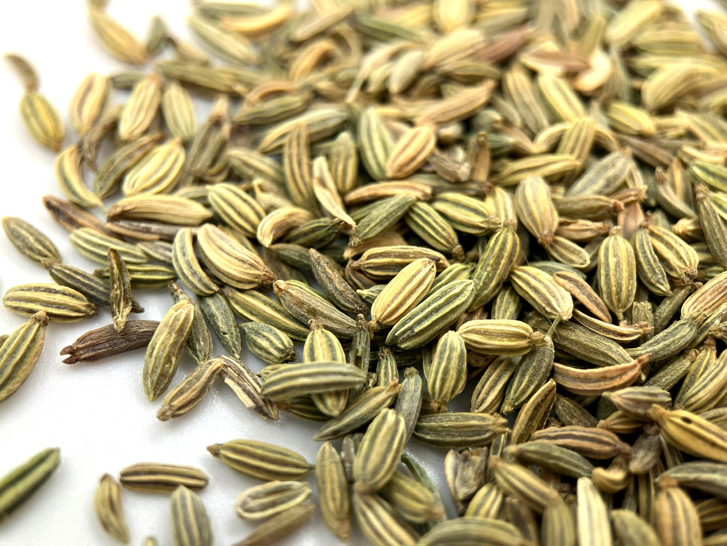 Fennel (org)