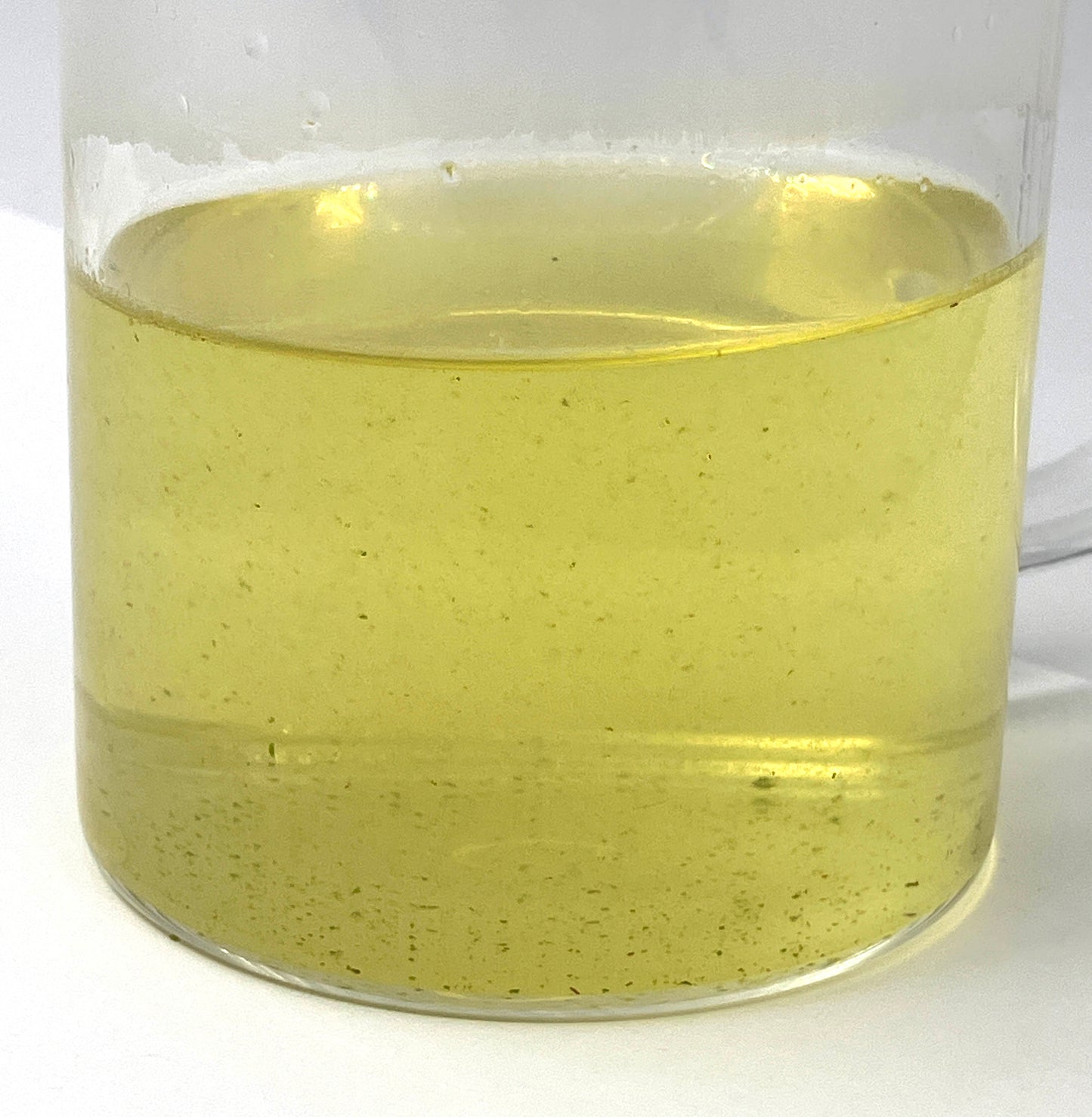 Gyokuro / Jade Dew - Asanoka (org)