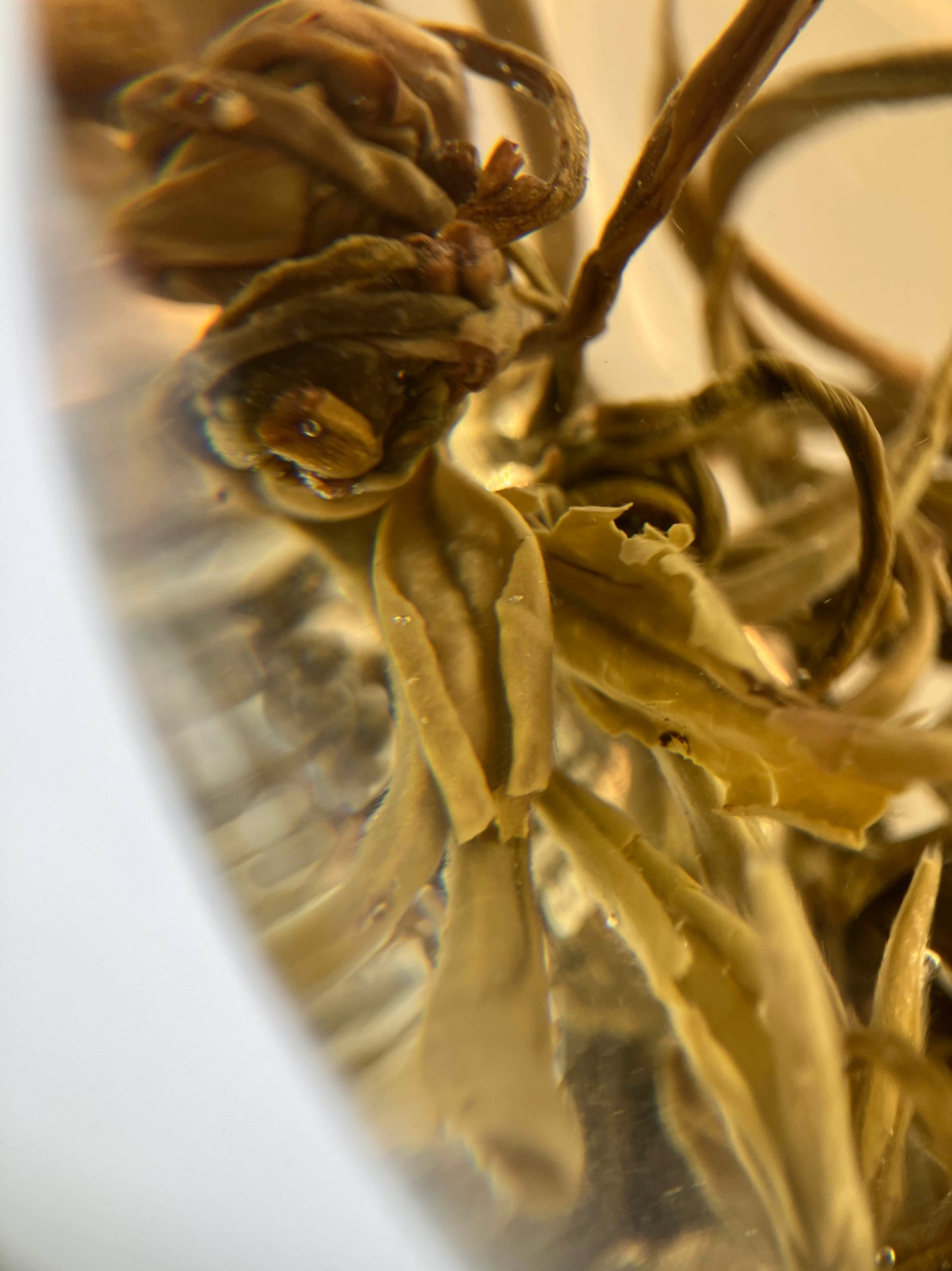 Wang Moli Zhenzhu / Imperial Jasmine Pearls - Fujian