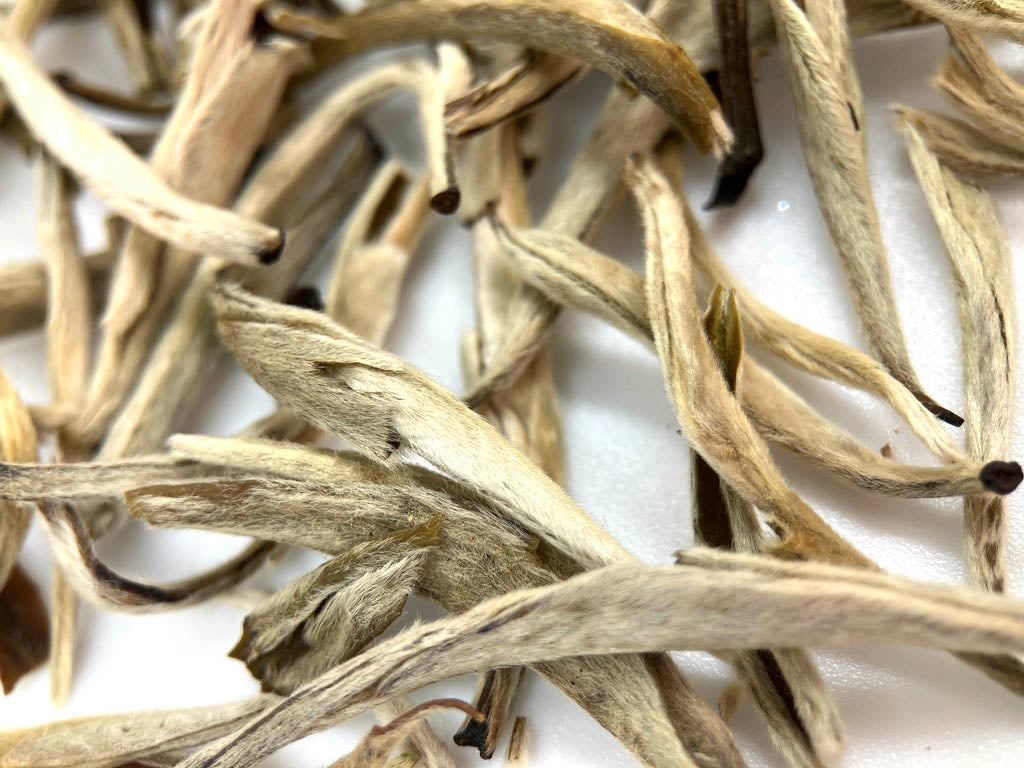 Moli Yin Zhen / Jasmine Silver Needle - Yunnan (org)