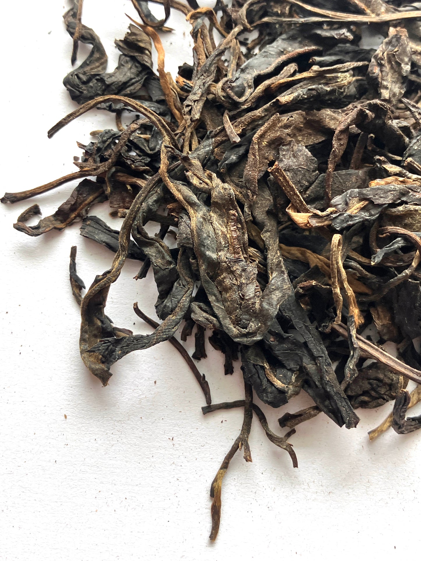 Yiwu 2007 Sheng Puerh - Xishuangbanna, Yunnan