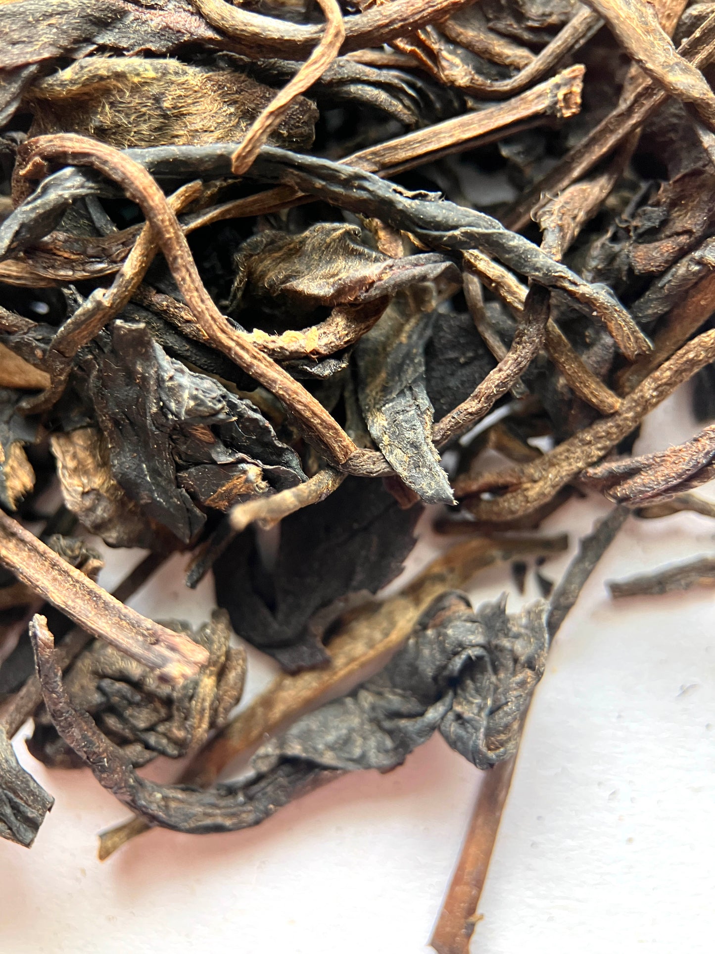 Yiwu 2007 Sheng Puerh - Xishuangbanna, Yunnan