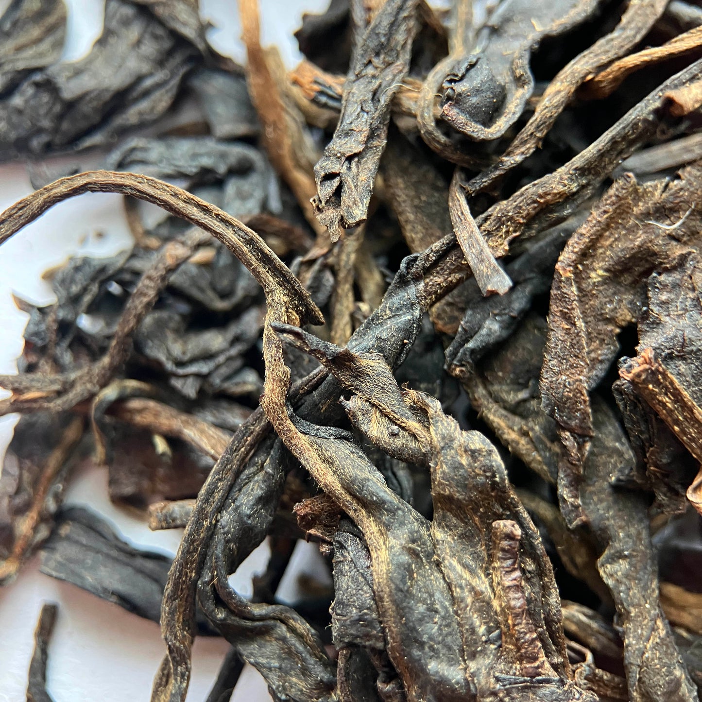 Yiwu 2007 Sheng Puerh - Xishuangbanna, Yunnan