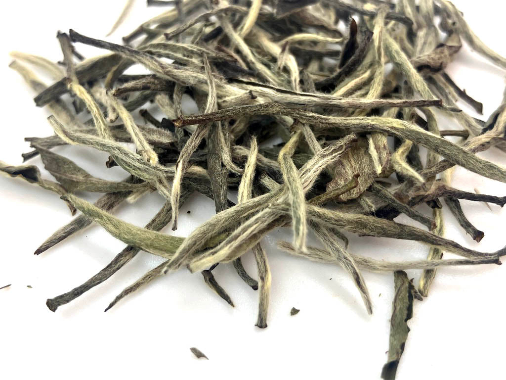 Zhenghe Yin Zhen / Zhenghe Silver Needle