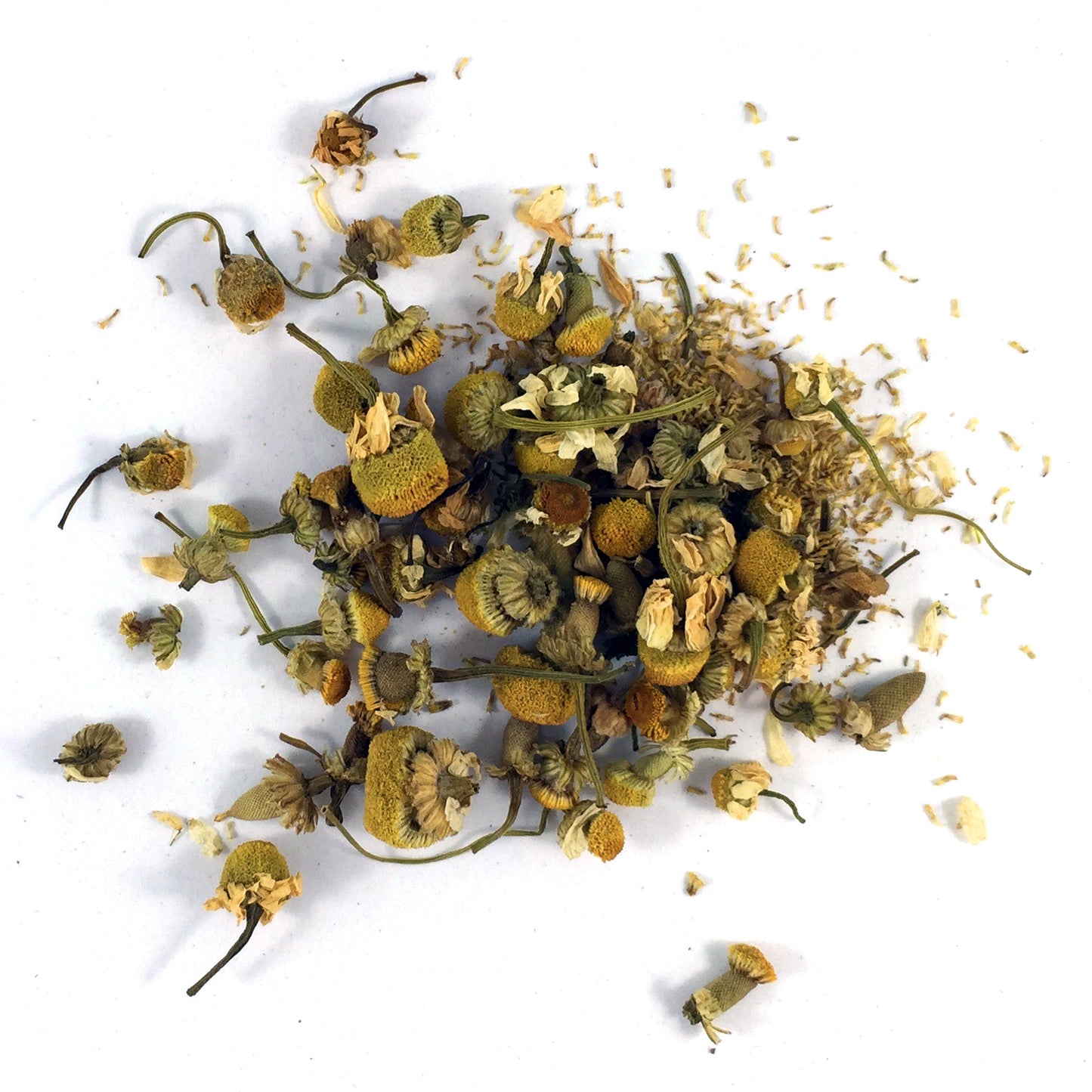 Arabian Camomile, org