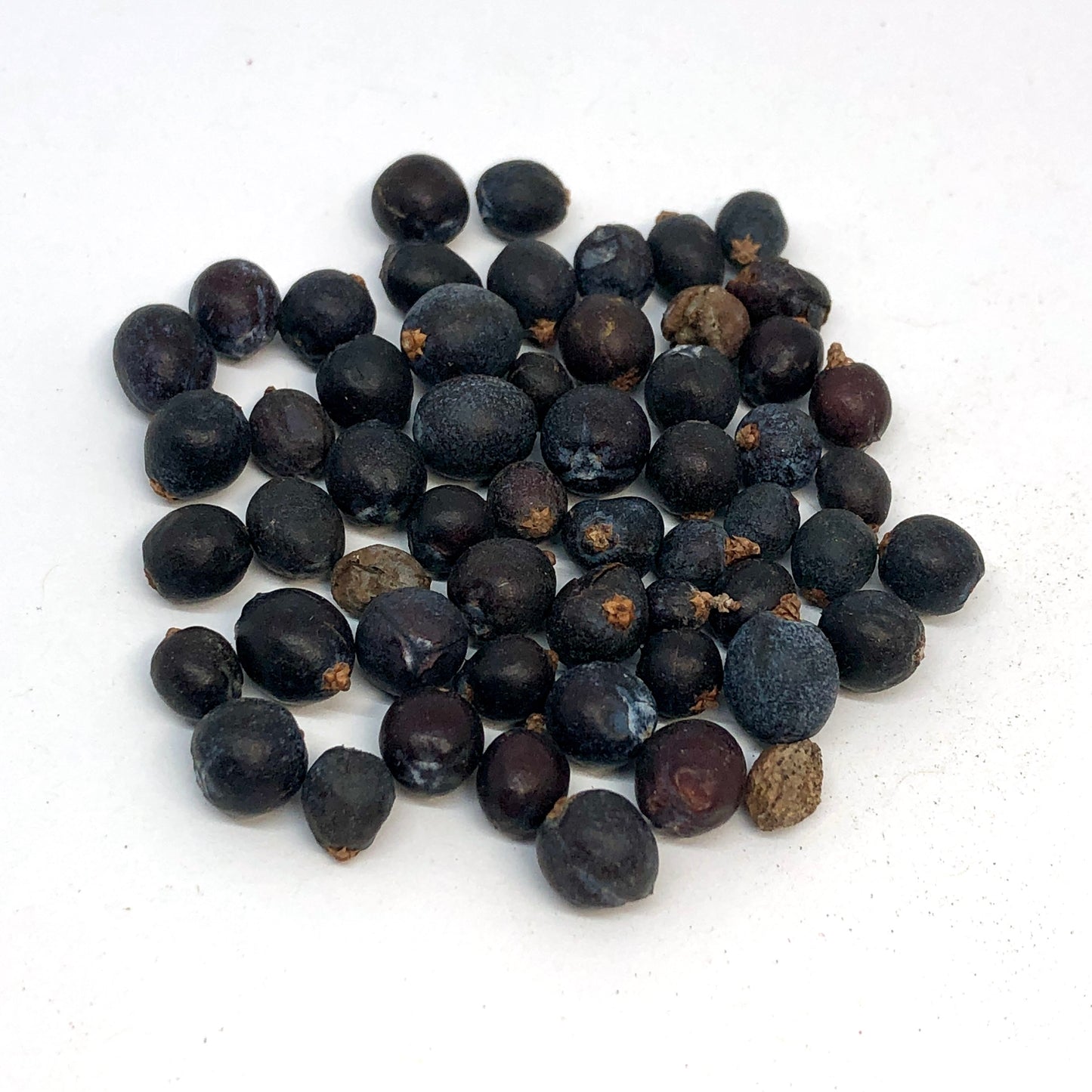 Juniper Berries