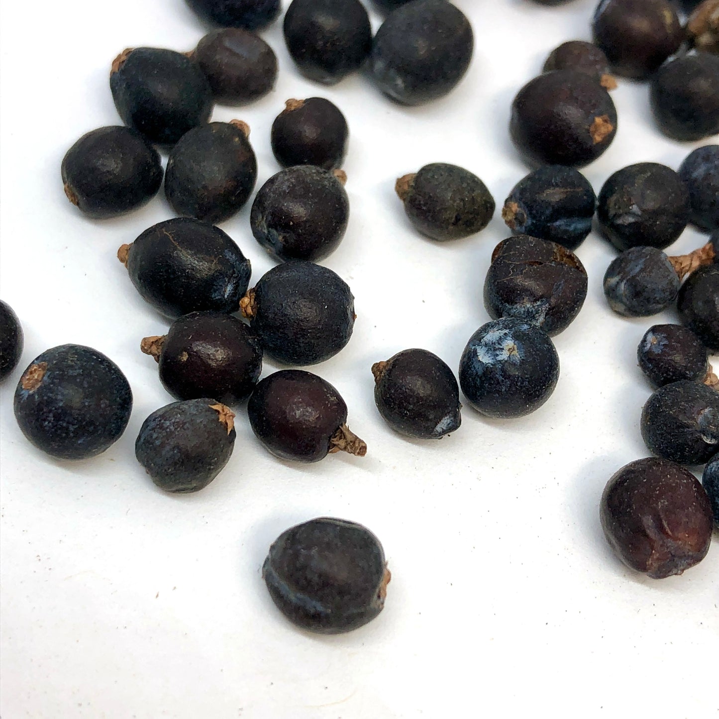 Juniper Berries