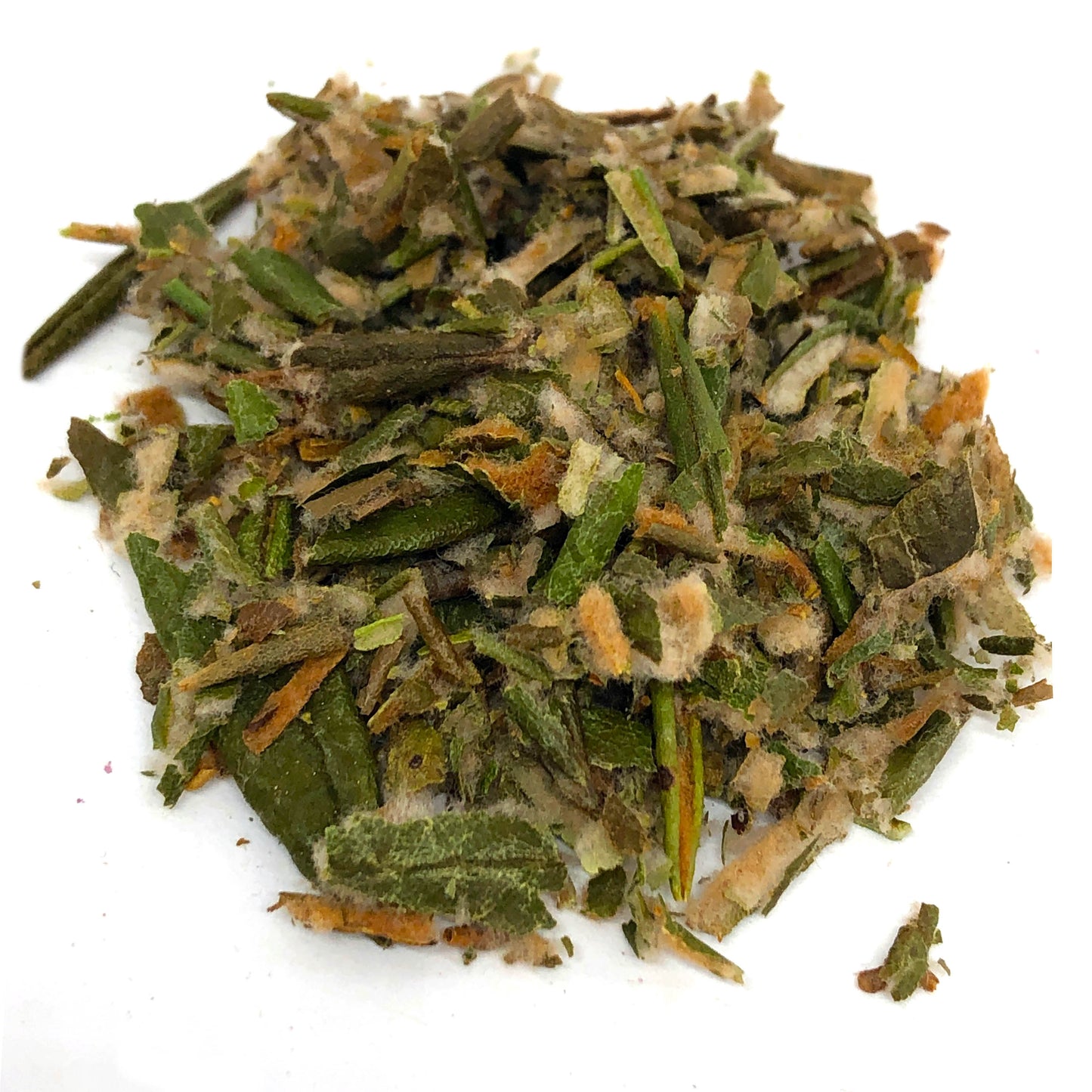 Labrador Tea