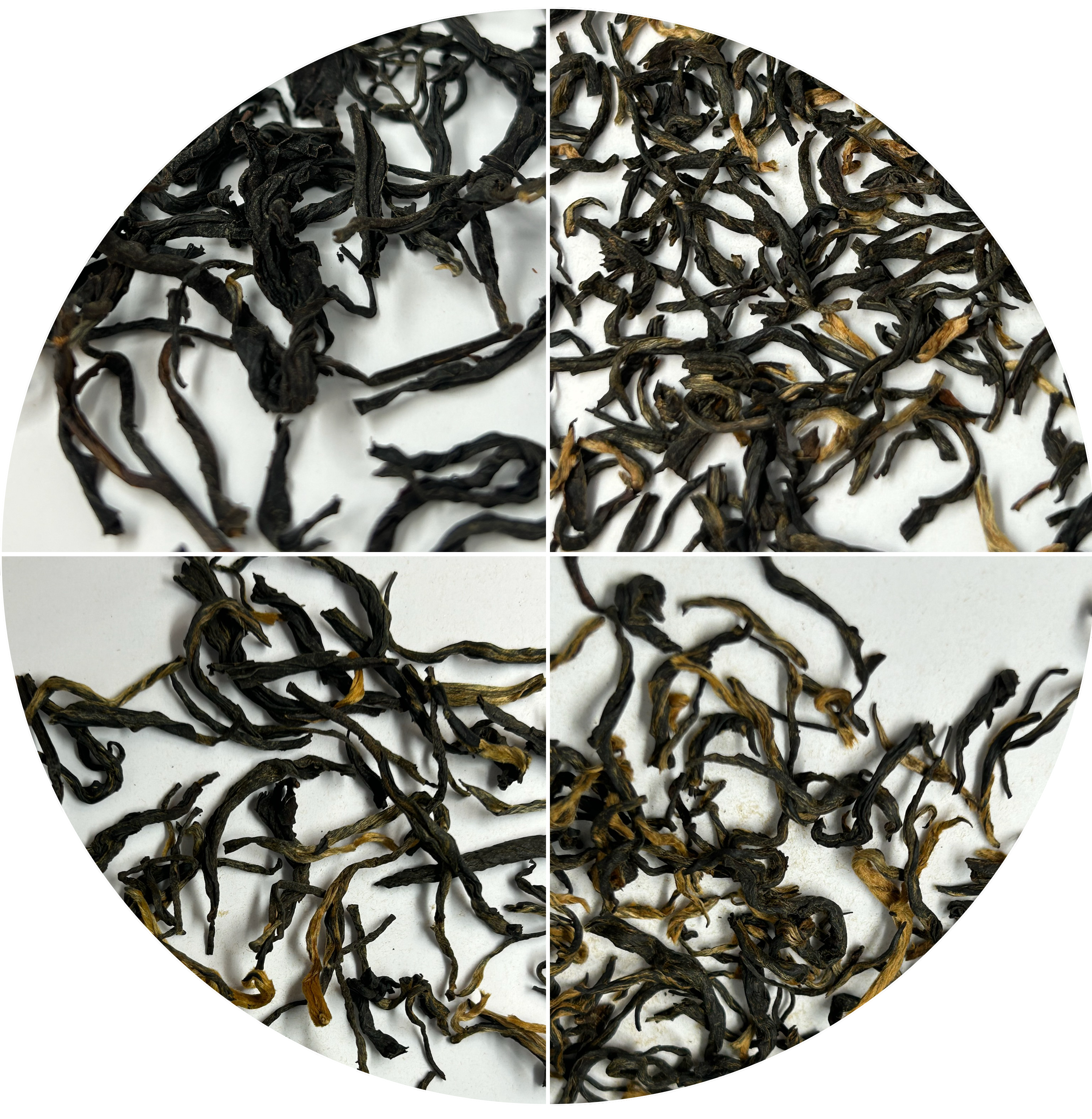 Black Tea Special SKUs