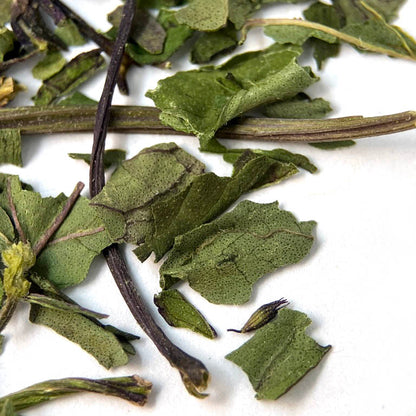 Chickadee Peppermint