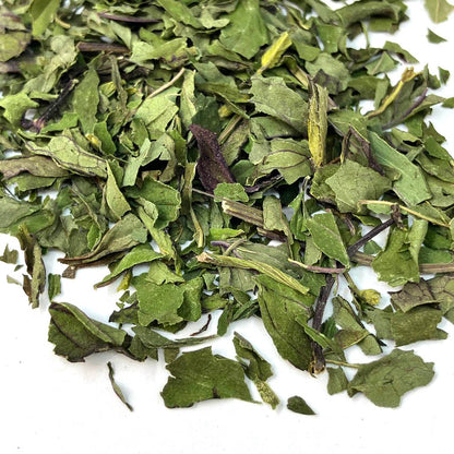 Chickadee Peppermint