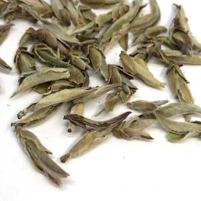 Nan Mei / Wild Tea Buds - Yunnan