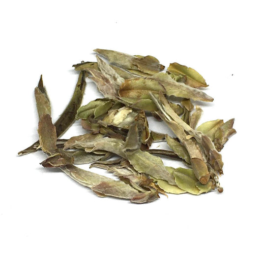 Nan Mei / Wild Tea Buds - Yunnan