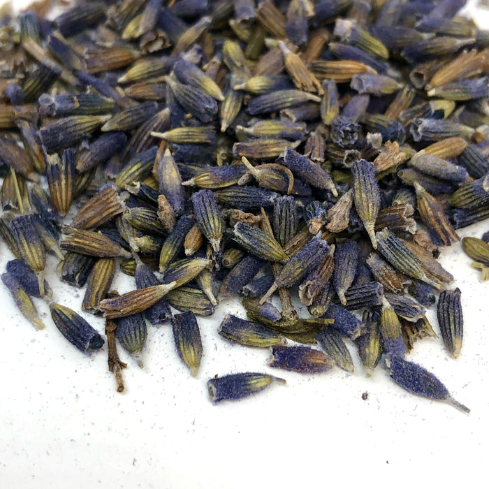 Lavender Buds (Lavandin)